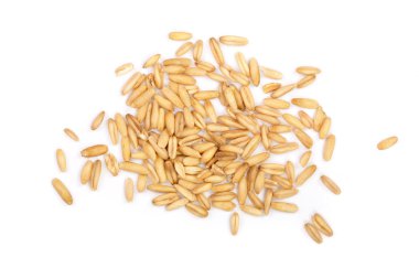 Beyaz arka plan üzerinde izole yulaf taneleri. Üstten Görünüm. Düz yatıyordu