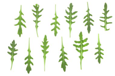 Beyaz arka plan üzerinde izole yeşil taze rucola veya roka yaprağı. Üstten Görünüm. Düz yatıyordu desen. Küme veya koleksiyonu