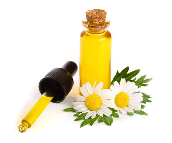 Botella con aceite esencial y flores frescas de manzanilla aisladas sobre fondo blanco — Foto de Stock