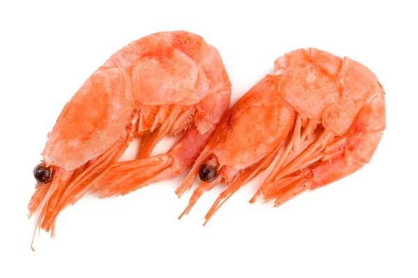 Camarão cozido vermelho ou camarão isolado sobre fundo branco — Fotografia de Stock