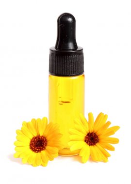 aromaterapi Uçucu yağ kadife çiçeği çiçek izole beyaz arka plan ile