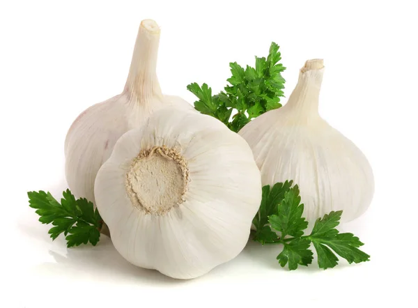 Garlic with parsley leaf isolated on white background — Stock Photo, Image