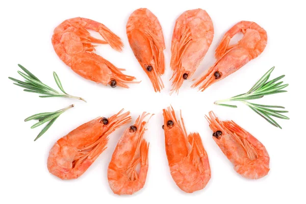 Rot gekochte Garnelen oder Garnelen mit Rosmarin isoliert auf weißem Hintergrund. Ansicht von oben. flache Lage — Stockfoto