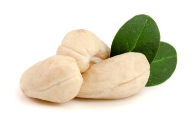 Beyaz arka plan üzerinde izole yaprak ile kaşu fındık. Makro