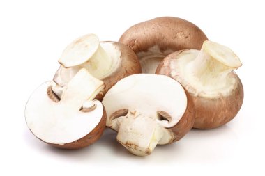Kraliyet kahverengi champignon yarısı beyaz arka plan üzerinde izole