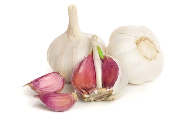 Garlic isolated on white background close up — Stock Photo, Image