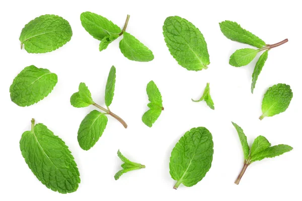 Φρέσκα πράσινα φύλλα δυόσμου απομονωθεί σε λευκό φόντο, το top view. Επίπεδη θέσει — Φωτογραφία Αρχείου