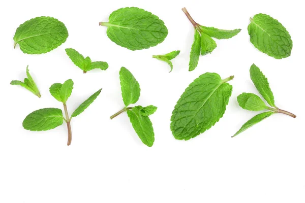 Hojas de menta verde fresco aislado sobre fondo blanco con espacio de copia para su texto, vista superior. Puesta plana — Foto de Stock