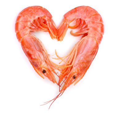 Kırmızı karides veya beyaz arka plan üzerinde izole karides pişmiş. Üstten Görünüm