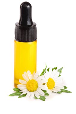 Beyaz arka planda özgün yağ ve taze papatya çiçekleri bulunan şişe.