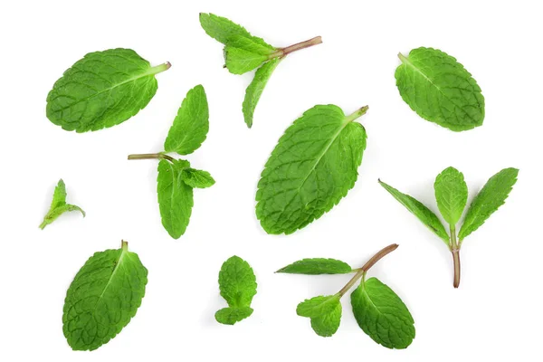 Frische grüne Minzblätter isoliert auf weißem Hintergrund, Draufsicht. flache Lage — Stockfoto