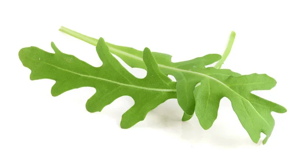 Green fresh rucola or arugula leaf isolated on white background macro — Stock Photo, Image