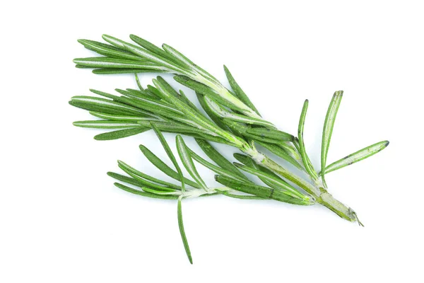 Fresh green rosemary isolated on a white background. Top view. Flat lay — Stock Photo, Image