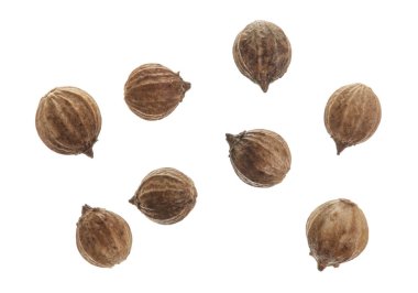 Beyaz arka plan üzerinde üstten görünüm izole kişniş tohumu