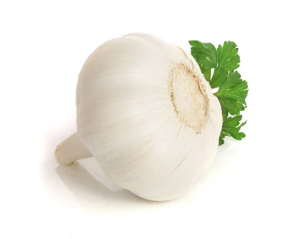 Knoblauch mit Petersilienblatt isoliert auf weißem Hintergrund — Stockfoto