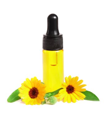 aromaterapi Uçucu yağ kadife çiçeği çiçek izole beyaz arka plan ile