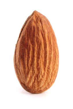 One almond isolated on white background macro clipart