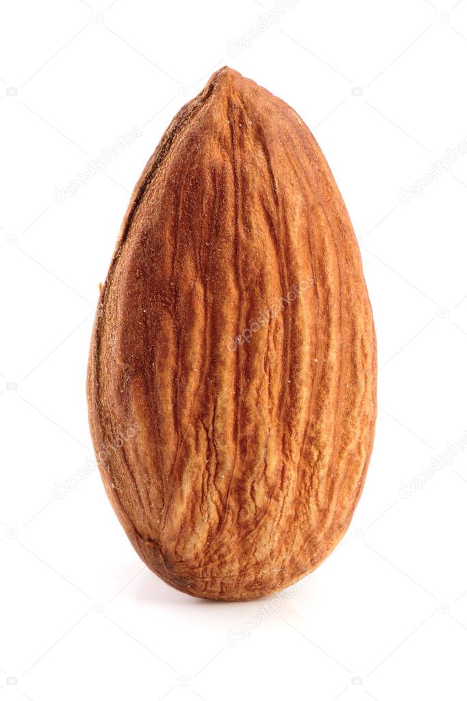 One almond isolated on white background macro