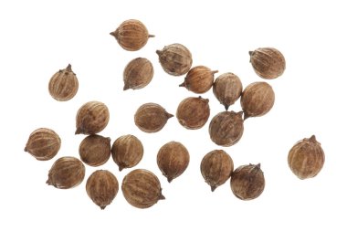 Beyaz arka plan üzerinde üstten görünüm izole kişniş tohumu