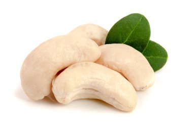 Beyaz arka plan üzerinde izole yaprak ile kaşu fındık. Makro