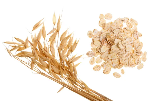 Oat spike with oat flakes isolated on white background. Top view — Stock Photo, Image