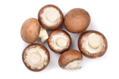 Taze champignon izole üzerinde beyaz arka plan mantar. Üstten Görünüm. Düz yatıyordu