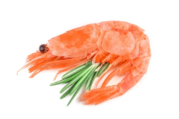 Camarão vermelho cozido ou camarão com alecrim isolado sobre fundo branco — Fotografia de Stock