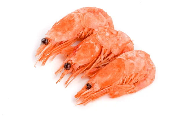 Red cooked prawn or shrimp isolated on white background — Stock Photo, Image