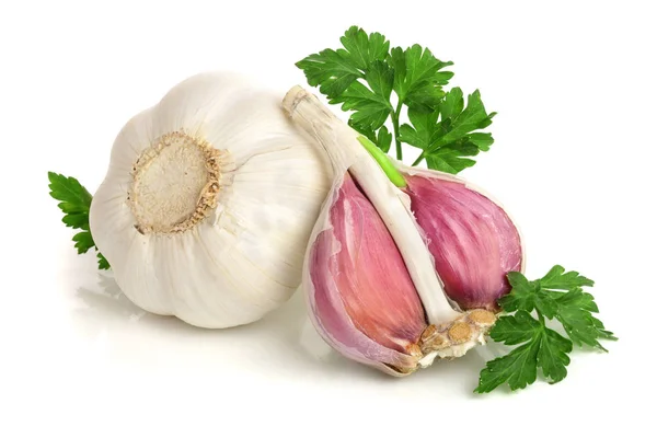 Knoblauch mit Petersilienblatt isoliert auf weißem Hintergrund — Stockfoto