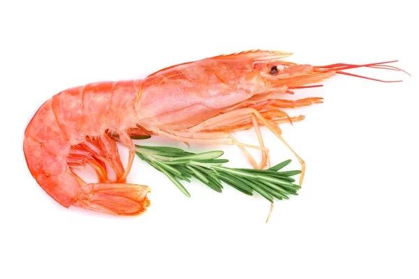 Udang merah yang dimasak atau udang dengan rosemary terisolasi pada latar belakang putih. Tampilan atas — Stok Foto