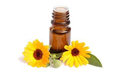 aromaterapi Uçucu yağ kadife çiçeği çiçek izole beyaz arka plan ile