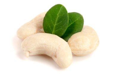 Beyaz arka plan üzerinde izole yaprak ile kaşu fındık. Makro