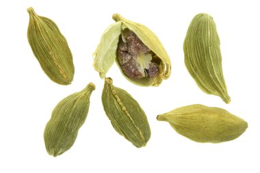 Beyaz arka plan üzerinde izole yeşil kakule tohumu. Üstten Görünüm. Yat