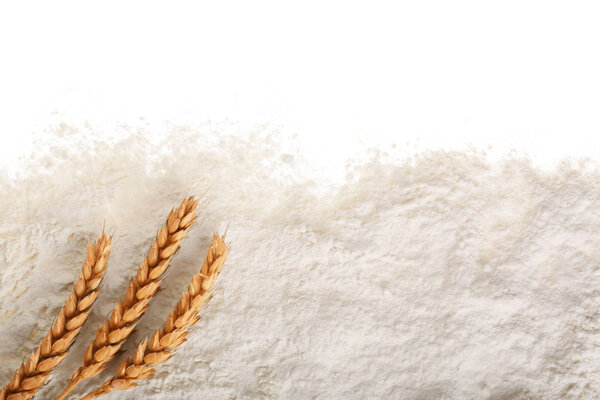 ears of wheat and pile of flour isolated on white background with copy space for your text. Top view. Flat lay