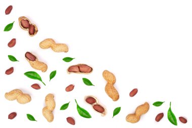 Fıstık ile izole üzerinde beyaz arka plan kopya alanı metni, üstten görünüm ile bırakır. Düz yatıyordu desen