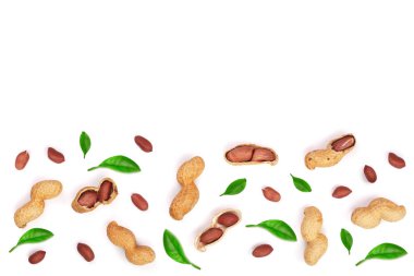 Fıstık ile izole üzerinde beyaz arka plan kopya alanı metni, üstten görünüm ile bırakır. Düz yatıyordu desen