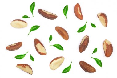 Brezilya fıstığı beyaz arka plan closeup izole. Üstten Görünüm. Düz yatıyordu