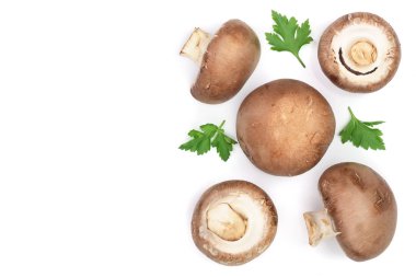 Taze champignon mantar izole kopya alanı metniniz için beyaz zemin üzerine maydanoz ile. Üstten Görünüm. Düz yatıyordu