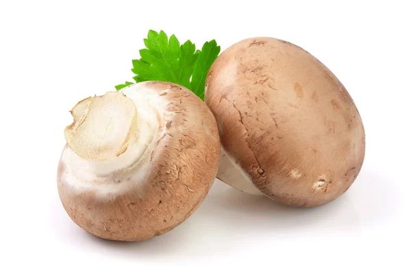 Koninklijke bruin champignon met peterselie geïsoleerd op witte achtergrond — Stockfoto