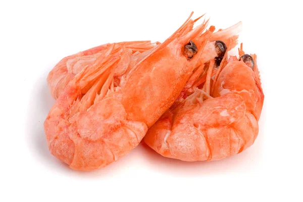 Camarão cozido vermelho ou camarão isolado sobre fundo branco — Fotografia de Stock
