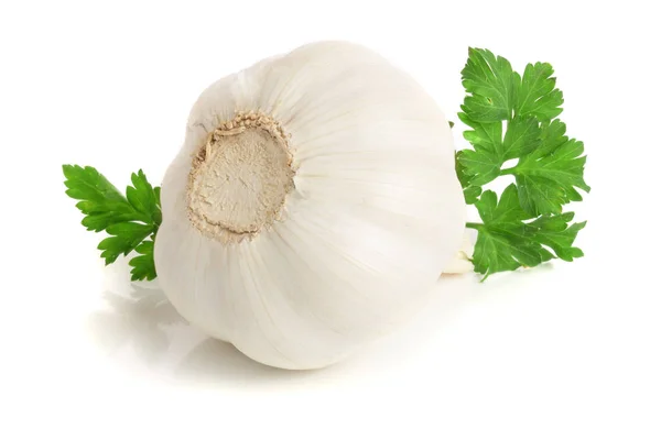 Knoblauch mit Petersilienblatt isoliert auf weißem Hintergrund — Stockfoto