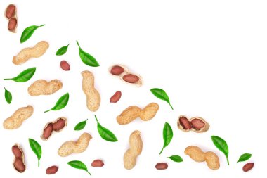 Fıstık ile izole üzerinde beyaz arka plan kopya alanı metni, üstten görünüm ile bırakır. Düz yatıyordu desen