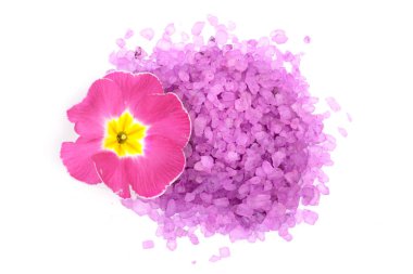 Beyaz arka plan üzerinde izole flover ile Menekşe deniz tuzu. Üstten Görünüm. Düz yatıyordu