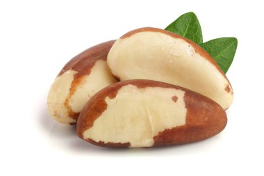 Beyaz arka plan closeup izole yaprakları ile Brezilya fıstığı. Tam alan derinliği