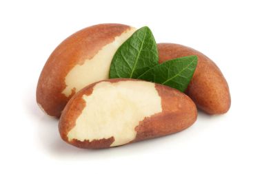 Beyaz arka plan closeup izole yaprakları ile Brezilya fıstığı. Tam alan derinliği