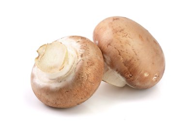 Beyaz zemin üzerinde izole kraliyet kahverengi şampiyonu