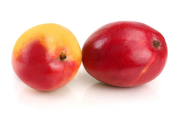 白い背景にマンゴーの果実が孤立クローズアップ — ストック写真