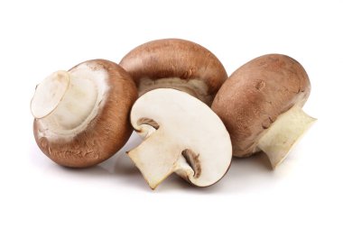 Kraliyet kahverengi champignon yarısı beyaz arka plan üzerinde izole