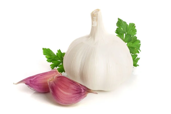 Knoblauch mit Petersilienblatt isoliert auf weißem Hintergrund — Stockfoto