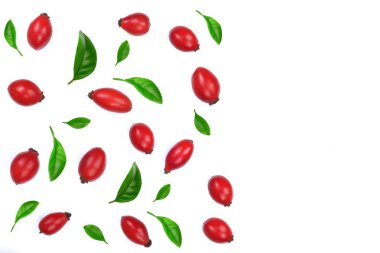 kuşburnu çilek beyaz arka plan üzerinde izole yeşil yaprakları ile dekore edilmiştir. Düz yatıyordu desen. Üstten Görünüm